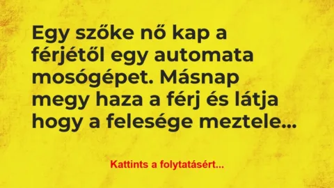 Vicc: Egy szőke nő kap a férjétől egy automata mosógépet. Másnap…