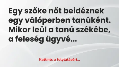 Vicc: Egy szőke nőt beidéznek egy válóperben tanúként. Mikor leül…