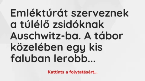 Vicc: Emléktúrát szerveznek a túlélő zsidóknak Auschwitz-ba. A tábor közelében egy kis…