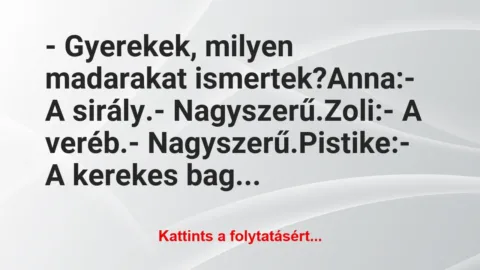Vicc: – Gyerekek, milyen madarakat ismertek?

Anna:

– A…