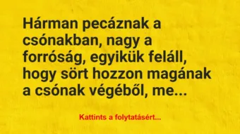Vicc: Hárman pecáznak a csónakban, nagy a forróság, egyikük…