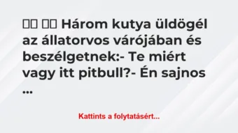 Vicc: 
		  
		  Három kutya üldögél az állatorvos…