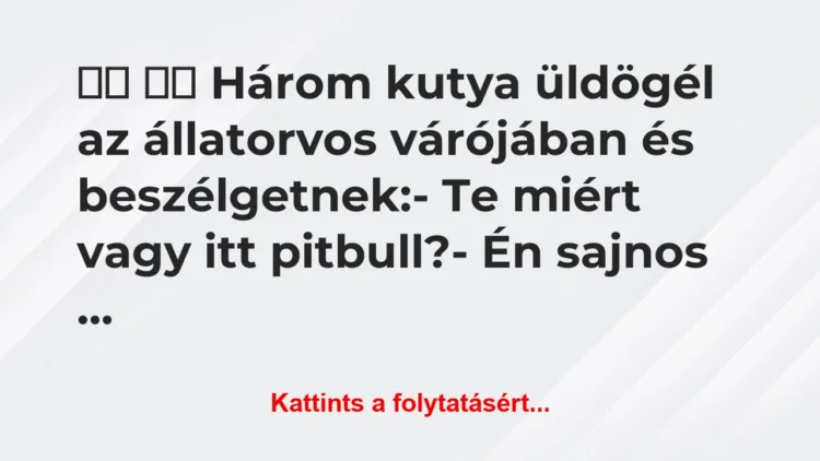Vicc: 
		  
		  Három kutya üldögél az állatorvos…