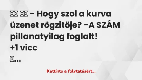 Vicc: 
		  
		  – Hogy szol a kurva üzenet rögzitöje? -A SZÁM…