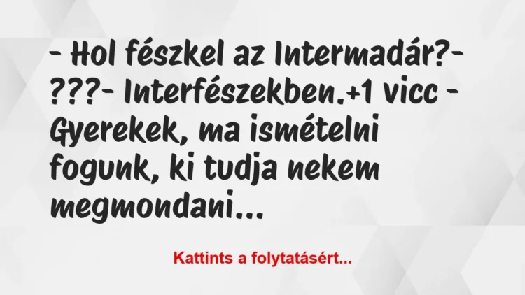 Vicc: – Hol fészkel az Intermadár?
– ???
-… Vicc: – Hol fészkel az Intermadár?
– ???
-…