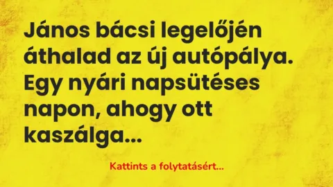 Vicc: János bácsi legelőjén áthalad az új autópálya. Egy nyári napsütéses napon, ahogy…
