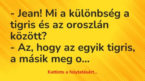 Vicc: – Jean! Mi a különbség a tigris és az oroszlán között?

– Az, hogy az egyik…