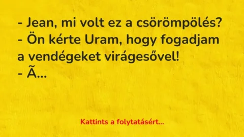 Vicc: – Jean, mi volt ez a csörömpölés?

– Ön kérte Uram, hogy fogadjam a…