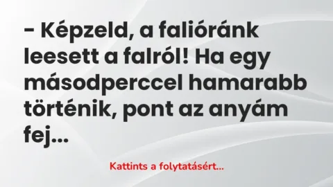 Vicc: – Képzeld, a falióránk leesett a falról! Ha egy másodperccel hamarabb történik,…