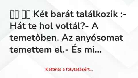 Vicc: 
		  
		  Két barát találkozik :- Hát te hol voltál?- A…