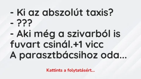 Vicc: – Ki az abszolút taxis?

– ???

– Aki még a szivarból is fuvart csinál.