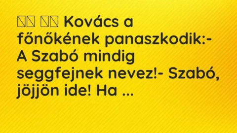 Vicc: 
		  
		  Kovács a főnőkének panaszkodik:- A Szabó mindig…
