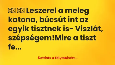 Vicc: 
		  
		  Leszerel a meleg katona, búcsút int az egyik tisztnek is