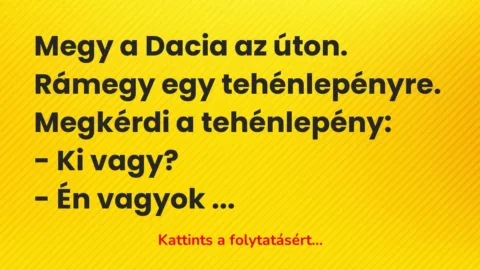 Vicc: Megy a Dacia az úton. Rámegy egy tehénlepényre. Megkérdi a tehénlepény:

-…