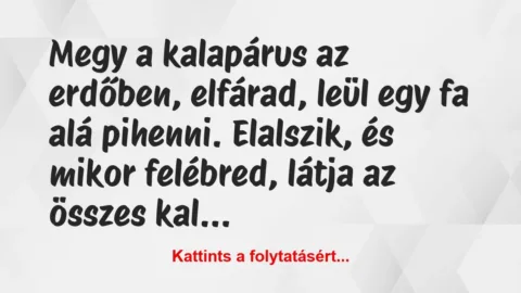 Vicc: Megy a kalapárus az erdőben, elfárad, leül egy fa alá…