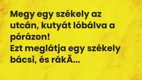 Vicc: Megy egy székely az utcán, kutyát lóbálva a pórázon!
Ezt meglátja egy… Vicc: Megy egy székely az utcán, kutyát lóbálva a pórázon!
Ezt meglátja egy…