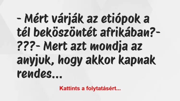 Vicc: – Mért várják az etiópok a tél beköszöntét afrikában?
-… Vicc: – Mért várják az etiópok a tél beköszöntét afrikában?
-…