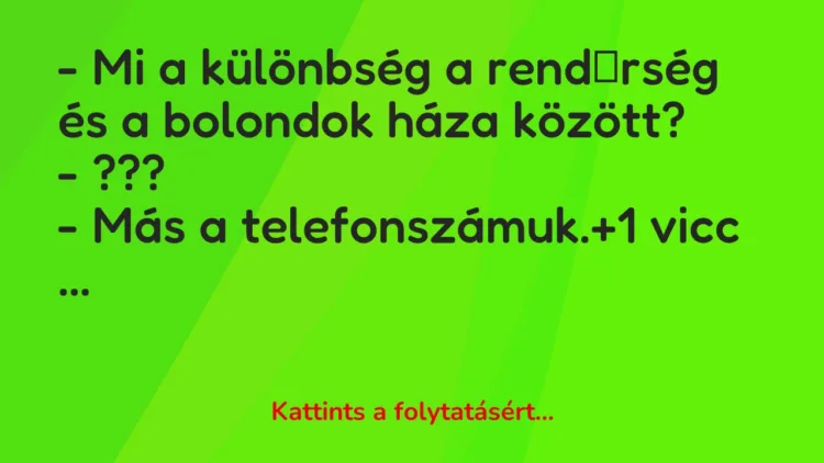 Vicc: – Mi a különbség a rendőrség és a bolondok háza…