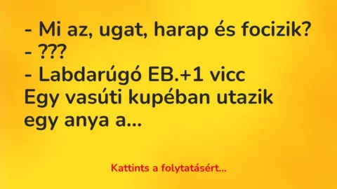 Vicc: – Mi az, ugat, harap és focizik?

– ???

– Labdarúgó EB.