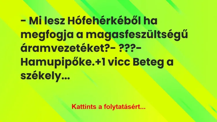 Vicc: – Mi lesz Hófehérkéből ha megfogja a magasfeszültségű… Vicc: – Mi lesz Hófehérkéből ha megfogja a magasfeszültségű…