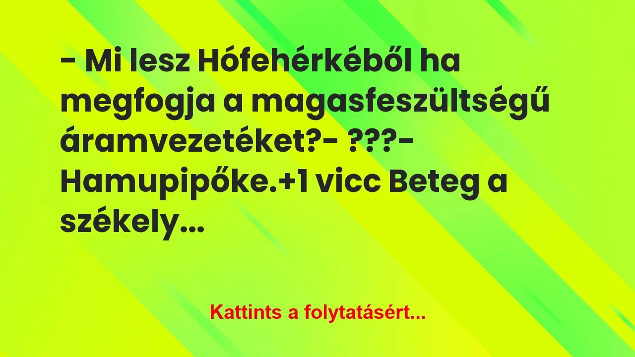 Vicc: – Mi lesz Hófehérkéből ha megfogja a magasfeszültségű… Vicc: – Mi lesz Hófehérkéből ha megfogja a magasfeszültségű…
