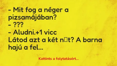 Vicc: – Mit fog a néger a pizsamájában?

– ???

– Aludni.