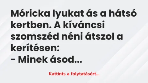Vicc: Móricka lyukat ás a hátsó kertben. A kíváncsi szomszéd néni átszol a…