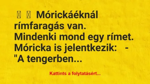Vicc: 
	    	    Mórickáéknál rímfaragás van.


Mindenki mond…