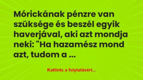 Vicc: Mórickának pénzre van szüksége és beszél egyik haverjával, a…