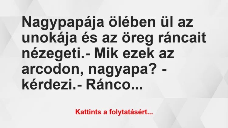 Vicc: Nagypapája ölében ül az unokája és az öreg ráncait…