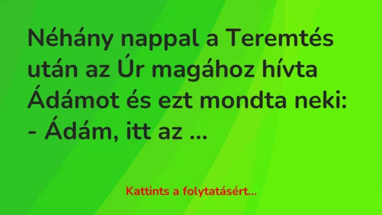 Vicc: Néhány nappal a Teremtés után az Úr magához hívta Ádámot és ezt mondta… Vicc: Néhány nappal a Teremtés után az Úr magához hívta Ádámot és ezt mondta…