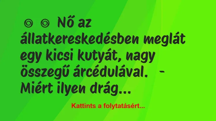 Vicc:
Nő az állatkereskedésben meglát egy kicsi kutyát,… Vicc:
Nő az állatkereskedésben meglát egy kicsi kutyát,…