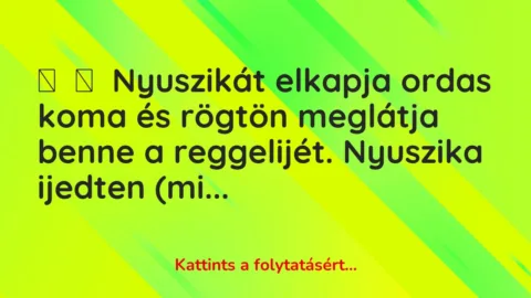 Vicc: 
	    	    Nyuszikát elkapja ordas koma és rögtön meglátja benne a reggelijét….