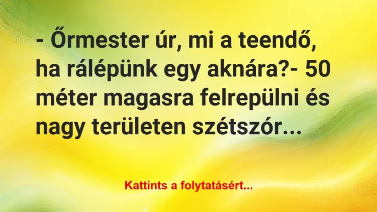Vicc: – Őrmester úr, mi a teendő, ha rálépünk egy aknára?
-… Vicc: – Őrmester úr, mi a teendő, ha rálépünk egy aknára?
-…