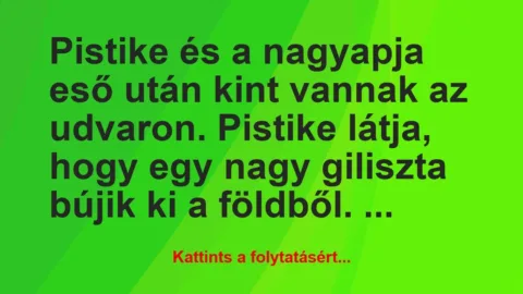 Vicc: Pistike és a nagyapja eső után kint vannak az udvaron….