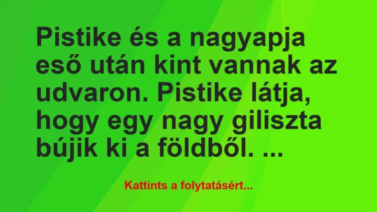 Vicc: Pistike és a nagyapja eső után kint vannak az udvaron…. Vicc: Pistike és a nagyapja eső után kint vannak az udvaron….