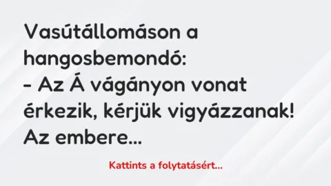 Vicc: Vasútállomáson a hangosbemondó:

– Az Á vágányon vonat…