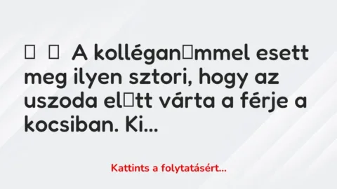 Vicces történet: 
	    	    A kolléganőmmel esett meg ilyen sztori, hogy az uszoda előtt várta a …