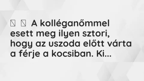 Vicces történet: 
	    	    A kolléganőmmel esett meg ilyen sztori, hogy az uszoda előtt várta a …
