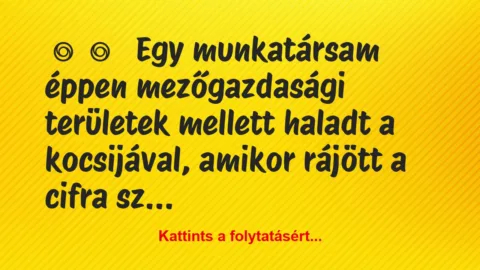 Vicces történet: 
	    	    


Egy munkatársam éppen…