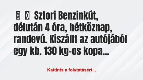 Vicces történet: 
	    	    Sztori


Benzinkút, délután 4 óra,…