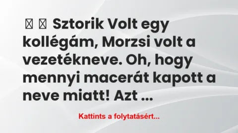 Vicces történet: 
	    	    Sztorik


Volt egy kollégám, Morzsi volt a…
