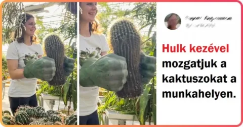 15 zseniális problémamegoldó trükk, amelyek megkönnyítik a mindennapi életet