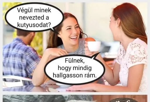Vicc: Végül minek nevezted… Vicc: Végül minek nevezted…