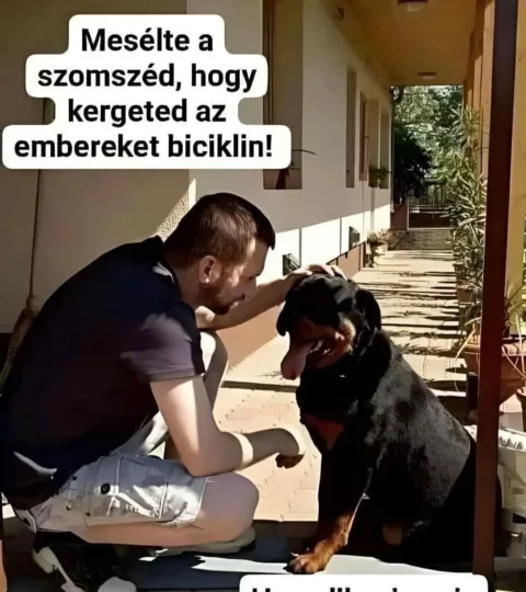 Vicc: Mesélte a szomszéd…