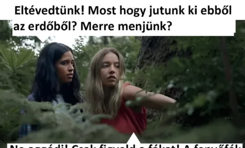 Vicc: Most hogy jutunk ki…