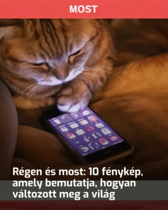 Az évadok varázslata: 10 lenyűgöző kép, amely megmutatja, hogyan alakul át a világunk