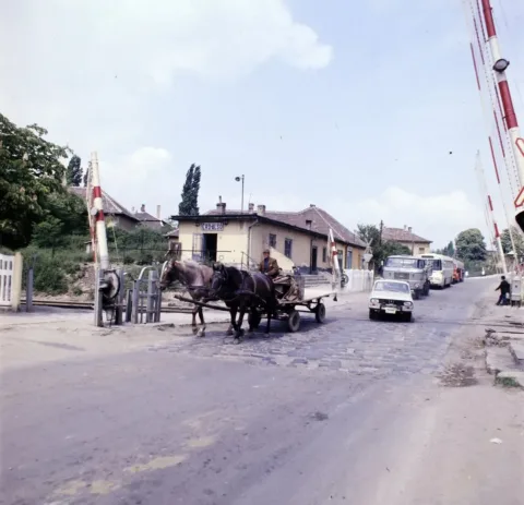 1977.  Sorompóval védett vasúti átjáró Érd-alsó megállóhelynél.
FORTEPAN
 #RK1749110464