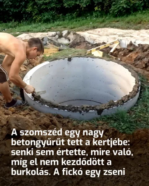 A szomszéd egy nagy betongyűrűt tett a kertjébe: senki sem A szomszéd hatalmas betongyűrűket helyezett el a kertjében: mindenki találgatott, mi lehet a cél…