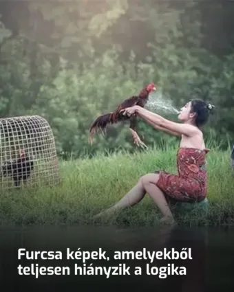 Logikát nélkülöző abszurd képek